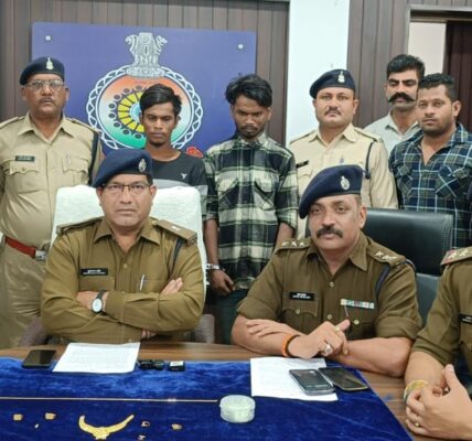 शातिर नबकजन/चोर दुर्ग पुलिस के हत्थे चढ़ा।  * ई-रिक्शा चोर ही निकला शातिर नकबजन।